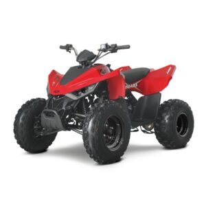 Bērnu Kvadracikli LINHAI ATV 110